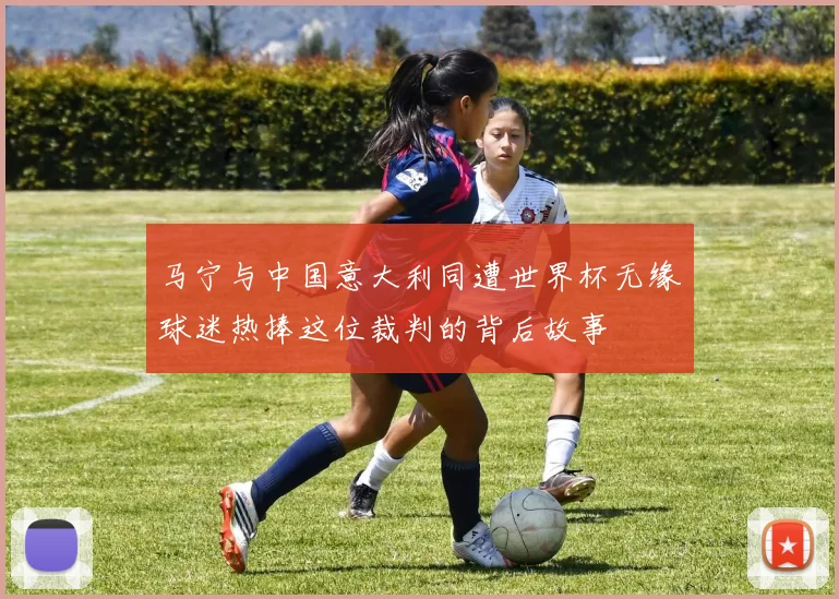 马宁与中国意大利同遭世界杯无缘球迷热捧这位裁判的背后故事